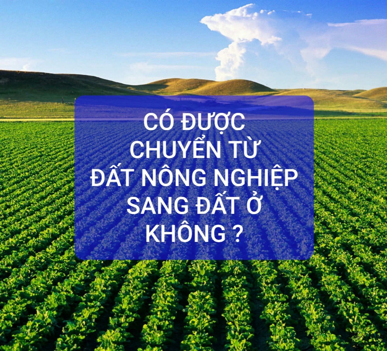 THỦ TỤC CHUYỂN MỤC ĐÍCH SỬ DỤNG TỪ ĐẤT NÔNG NGHIỆP SANG ĐẤT Ở