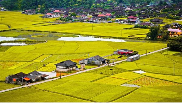 Các trường hợp chuyển mục đích sử dụng đất mà không cần xin phép